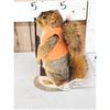 Image 3 : Hunting Squirrel Full Body Taxidermy Mount