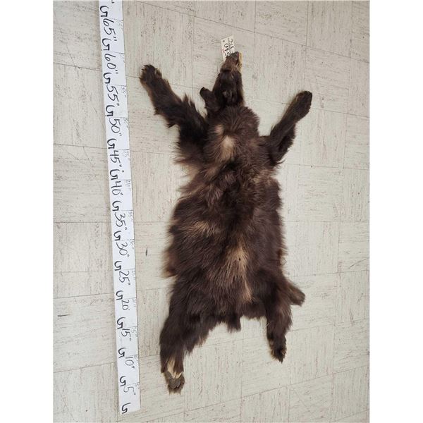 Brown Phase Black Bear Soft Tanned Fur