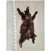 Image 1 : Brown Phase Black Bear Soft Tanned Fur