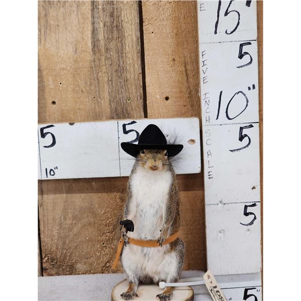 Sheriff Squirrel Full Body Taxidermy Mount