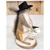 Image 3 : Sheriff Squirrel Full Body Taxidermy Mount