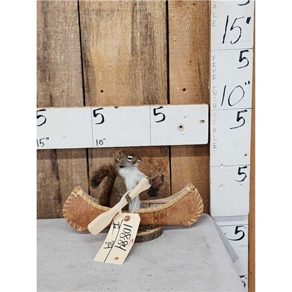 Squirrel In A Birch Bark Canoe Taxidermy