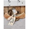 Image 2 : Squirrel In A Birch Bark Canoe Taxidermy