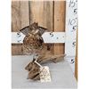 Image 3 : Ruffed Grouse Full Body Bird Taxidermy