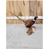 Image 4 : Ringneck Pheasant Full Body Bird Taxidermy