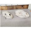 Image 3 : 2 Black Bear Skulls Taxidermy