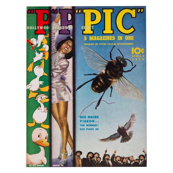 A PIC Magazine with "The Ugly Duckling" Write-Up.