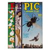 Image 1 : A PIC Magazine with "The Ugly Duckling" Write-Up.