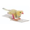 Image 11 : A Collection of Pipecleaner Birds and Animals.