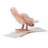 Image 16 : A Collection of Pipecleaner Birds and Animals.