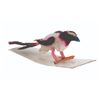 Image 17 : A Collection of Pipecleaner Birds and Animals.