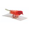 Image 18 : A Collection of Pipecleaner Birds and Animals.