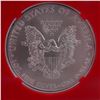Image 4 : 2011 (S) American Silver Eagle One Dollar Coin NGC Graded MS 69