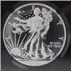 Image 2 : 2013-W American Silver Eagle Type 1 Dollar NGC Graded SP 70 Enhanced Finish