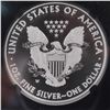 Image 4 : 2013-W American Silver Eagle Type 1 Dollar NGC Graded SP 70 Enhanced Finish