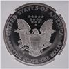 Image 4 : 1995-P American Silver Eagle Type 1 Dollar NGC Graded PF 69 Ultra Cameo