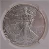 Image 3 : 2013 (S) American Silver Eagle Early Release Dollar Coin NGC Graded MS 70