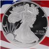 Image 2 : 2019-S American Silver Eagle Type 1 Dollar NGC Graded PF 70 Ultra Cameo