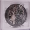 Image 3 : 2023 Morgan Dollar American Legacy Dollar NGC Graded MS 70 ANTIQUED