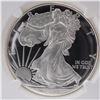 Image 2 : 2017-S American Silver Eagle Type 1 Dollar NGC Graded PF 69 Ultra Cameo