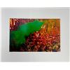 Image 1 : Jagjit Singh India Color Of Holi
