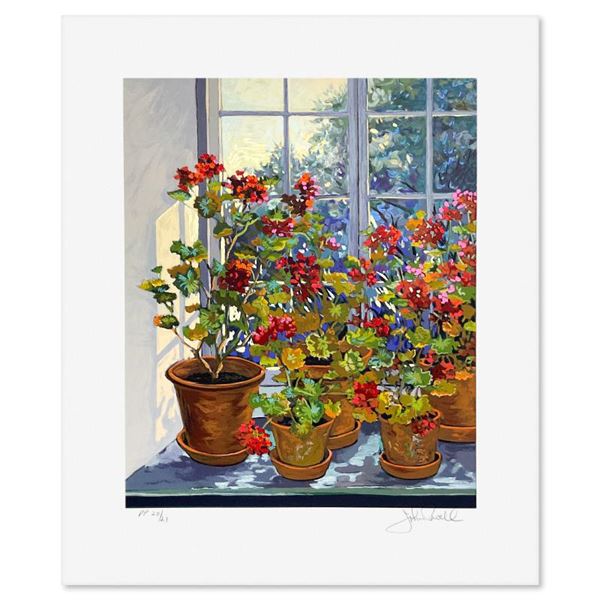 Geranium by Powell, John