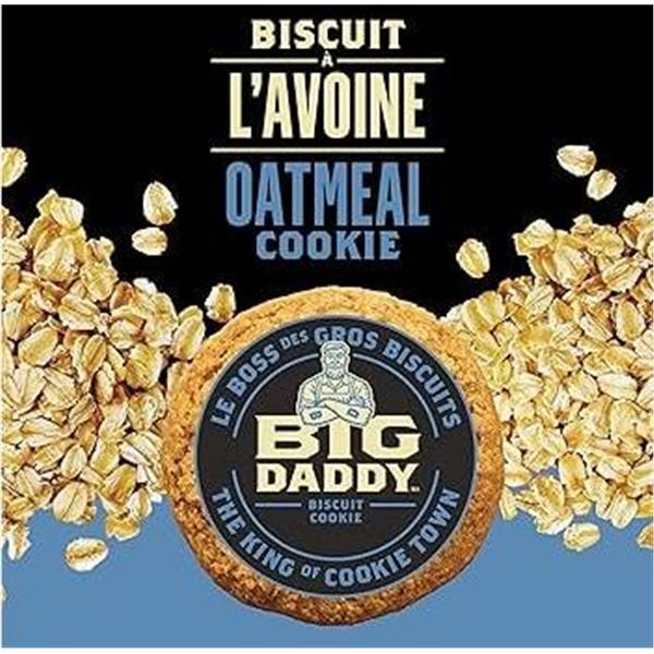 Big Daddy Biscuit Oatmeal Cookie (8 Units x 100 g)