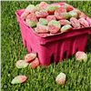 Image 1 : Sour Patch Kids Strawberry Candy, 12 Packs, 154g Each