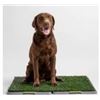 Image 1 : Silver Paw Faux Grass Potty Patch, 27 x 34 Inches, for Dogs Over 15 lbs