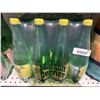 Image 2 : Maison Perrier Lemon-Flavored Sparkling Water, 12 x 1L Bottles