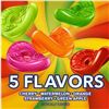 Image 1 : Life Savers Gummies Five Flavour 180 g Bags, Case of 12