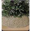 Image 1 : Stranthoter 28 Inch Rustic Christmas Tree Cover