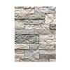 Image 1 : AirStone Spring Creek Faux Stone Veneer Panels, Model 35347