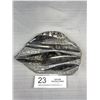 Image 1 : 6" Tall Roughed Polished Black Fossils Orthoceras Plate