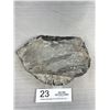 Image 2 : 6" Tall Roughed Polished Black Fossils Orthoceras Plate