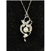 Image 7 : 5 Necklaces in Case