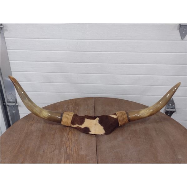 cow horn wall mount