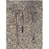 Image 1 : 3 forks