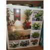 Image 2 : Books A