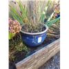 Image 1 : Out Door Pot B