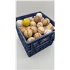 Image 1 : Milk crate full of Baseballs