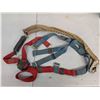Image 1 : Fall arrest harness with lanyards