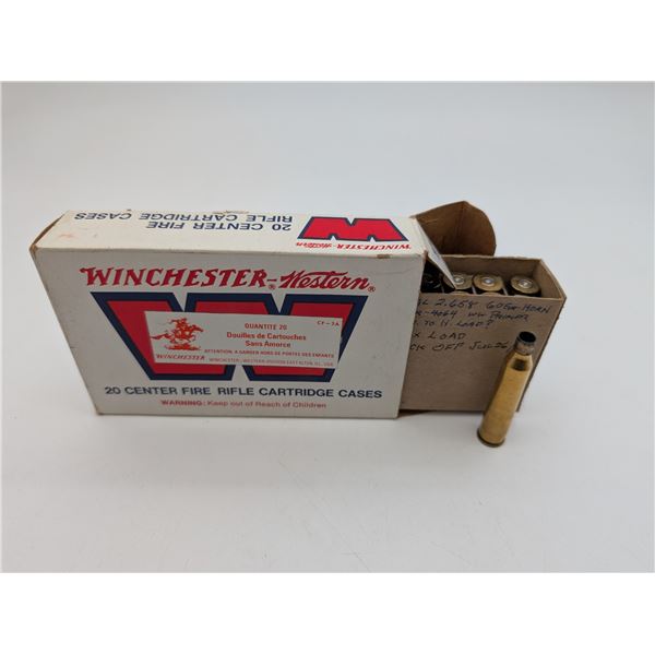 winchester 220 swift brass (ck17)