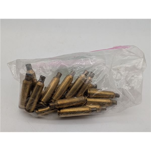 Hornady 22-250 brass (ck17)