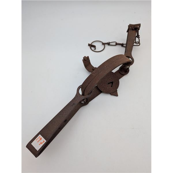 Victor #4 leghold trap (ct31)