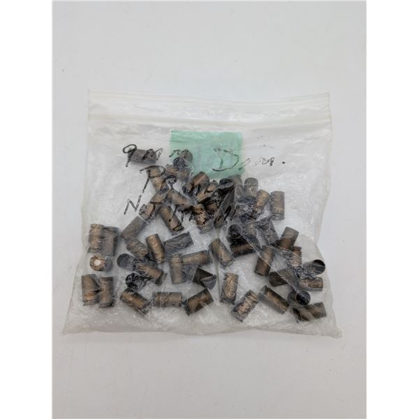 9mm luger primed brass (ck17)