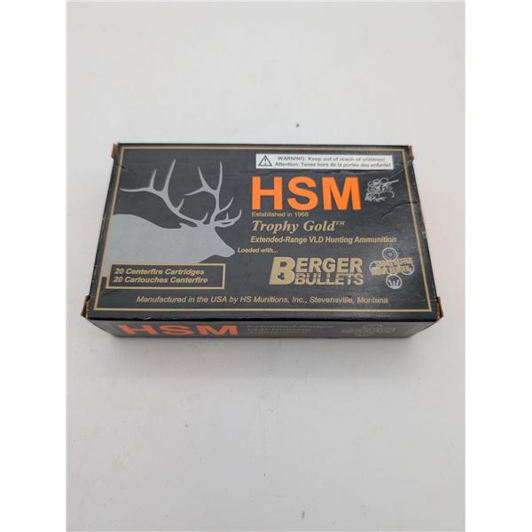 HSM 25-06 ammo (ck17)