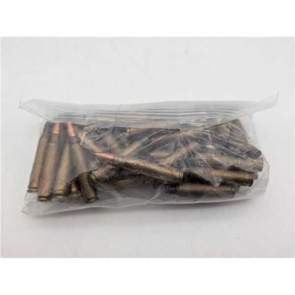 223 ammo and brass (ca33)