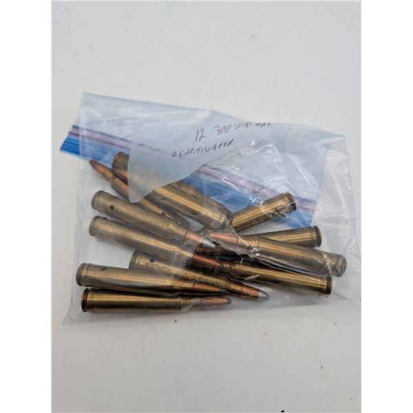 12 300 win mag deactivated rounds (ca33)