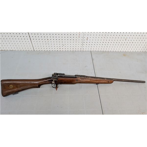 P17 Winchester 30-06 (ca33)